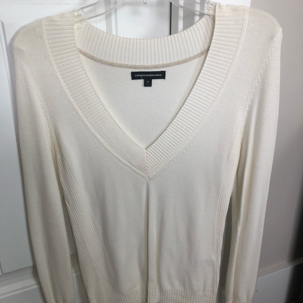 Express V-Neck Sweater